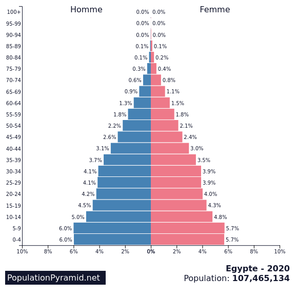 Какая численность населения египта. Численность населения Египта на 2021. Пирамида населения Египта. Динамика населения Египта. Египет динамика населения по годам.
