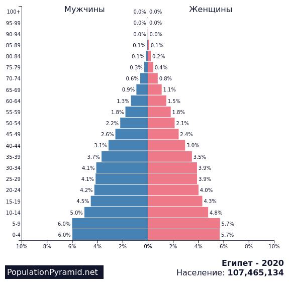Половая структура населения египта. Половозрастная пирамида Сингапура. Половозрастная пирамида Бразилии. Демографическая пирамида Израиля. Демографическая пирамида Филиппин.