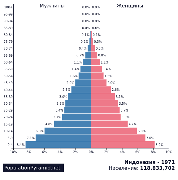 Численность страны индонезия. Половозрастная пирамида ОАЭ. Половозрастная пирамида 2035 года. Возрастно-половые пирамиды Кения. Возрастная пирамида населения земли за 1990.