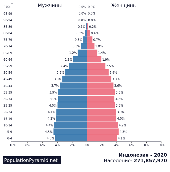 Население индонезии в 2023 году. Население Афганистана по годам. Население Афганистана статистика. Афганистан численность населения. Возрастная пирамида Франции.