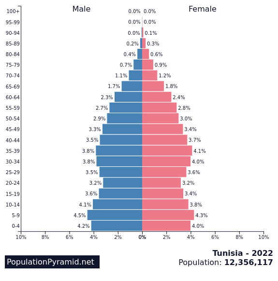  Population  of Tunisia 2022  PopulationPyramid net