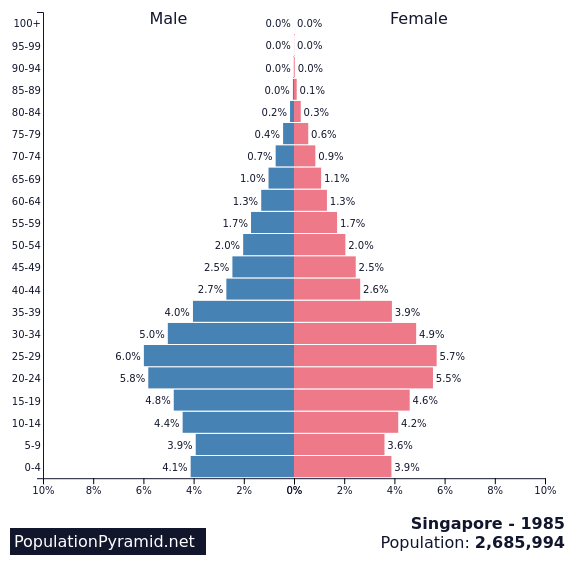 Image result for singapore population pyramid 1985