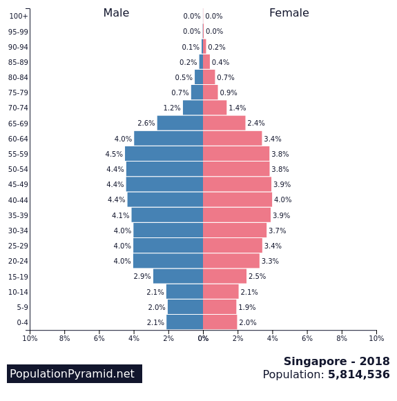 Image result for singapore population pyramid 2018