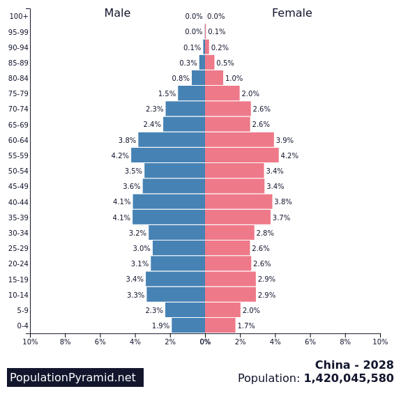 population-of-china-2028-populationpyramid
